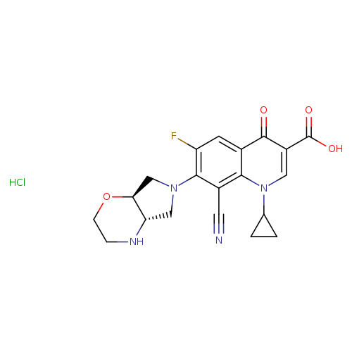 N#Cc1c(N2C[C@H]3[C@H](C2)NCCO3)c(F)cc2c1n(cc(c2=O)C(=O)O)C1CC1.Cl