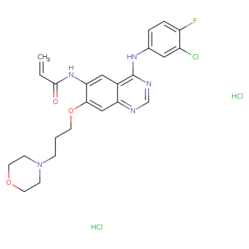 C=CC(=O)Nc1cc2c(ncnc2cc1OCCCN1CCOCC1)Nc1ccc(c(c1)Cl)F.Cl.Cl