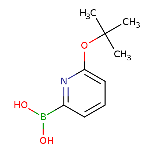 OB(c1cccc(n1)OC(C)(C)C)O