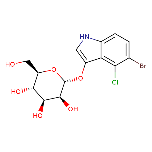 OC[C@H]1O[C@H](Oc2c[nH]c3c2c(Cl)c(cc3)Br)[C@H]([C@H]([C@@H]1O)O)O