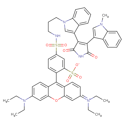 CCN(c1ccc2c(c1)oc1c(c2c2ccc(cc2S(=O)(=O)[O-])S(=O)(=O)NCCCn2cc(c3c2cccc3)C2=C(C(=O)NC2=O)c2cn(c3c2cccc3)C)ccc(=[N+](CC)CC)c1)CC