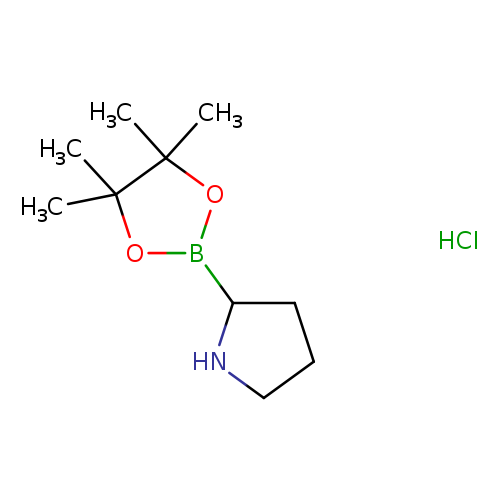 CC1(C)OB(OC1(C)C)C1CCCN1.Cl