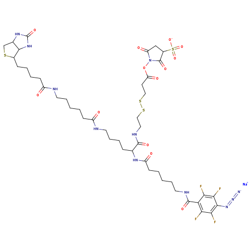 [N-]=[N+]=Nc1c(F)c(F)c(c(c1F)F)C(=O)NCCCCCC(=O)NC(C(=O)NCCSSCCC(=O)ON1C(=O)CC(C1=O)S(=O)(=O)[O-])CCCCNC(=O)CCCCCNC(=O)CCCCC1SCC2C1NC(=O)N2.[Na+]