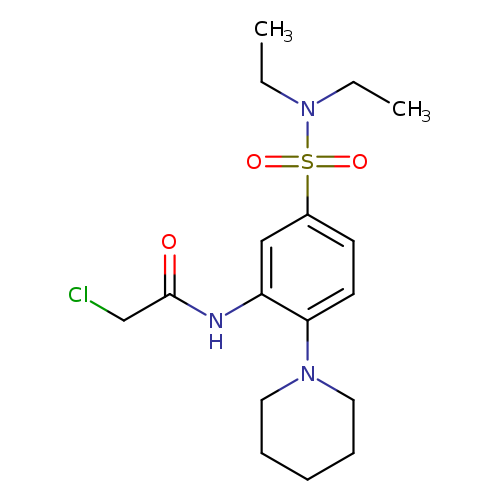 CCN(S(=O)(=O)c1ccc(c(c1)NC(=O)CCl)N1CCCCC1)CC