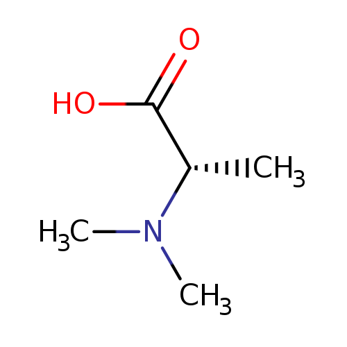 C[C@@H](C(=O)O)N(C)C