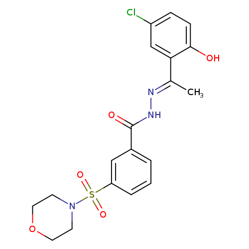 Clc1ccc(c(c1)/C(=N/NC(=O)c1cccc(c1)S(=O)(=O)N1CCOCC1)/C)O