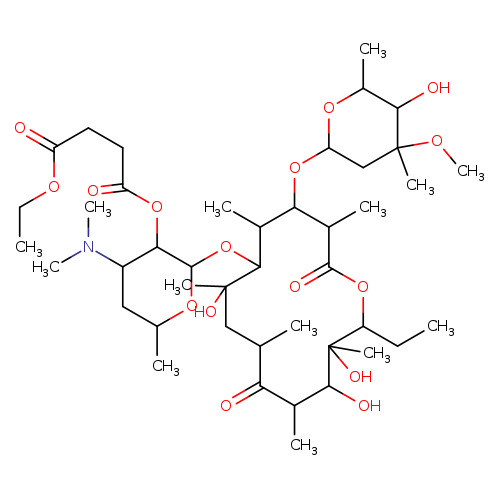 CCOC(=O)CCC(=O)OC1C(OC(CC1N(C)C)C)OC1C(C)C(OC2OC(C)C(C(C2)(C)OC)O)C(C)C(=O)OC(CC)C(C(C(C(=O)C(CC1(C)O)C)C)O)(C)O
