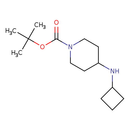 O=C(N1CCC(CC1)NC1CCC1)OC(C)(C)C