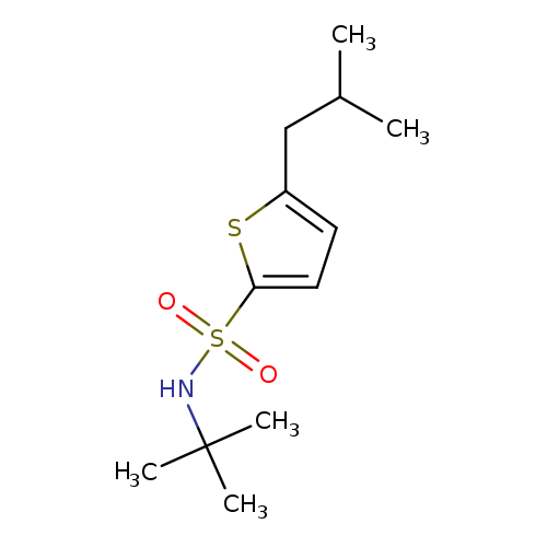 CC(Cc1ccc(s1)S(=O)(=O)NC(C)(C)C)C