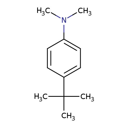 CN(c1ccc(cc1)C(C)(C)C)C