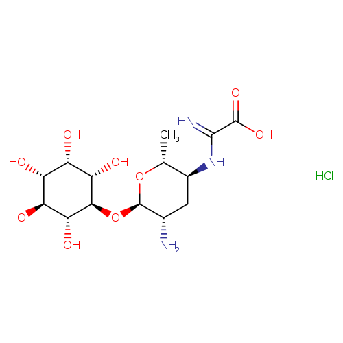 N[C@H]1C[C@H](NC(=N)C(=O)O)[C@H](O[C@@H]1O[C@@H]1[C@@H](O)[C@@H](O)[C@H]([C@@H]([C@H]1O)O)O)C.Cl