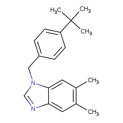 Cc1cc2ncn(c2cc1C)Cc1ccc(cc1)C(C)(C)C