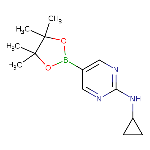 CC1(C)OB(OC1(C)C)c1cnc(nc1)NC1CC1