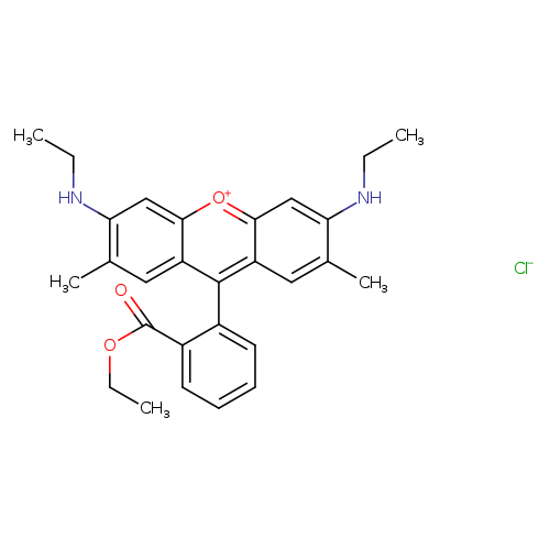 CCOC(=O)c1ccccc1c1c2cc(C)c(cc2[o+]c2c1cc(C)c(c2)NCC)NCC.[Cl-]