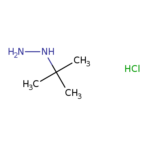 NNC(C)(C)C.Cl