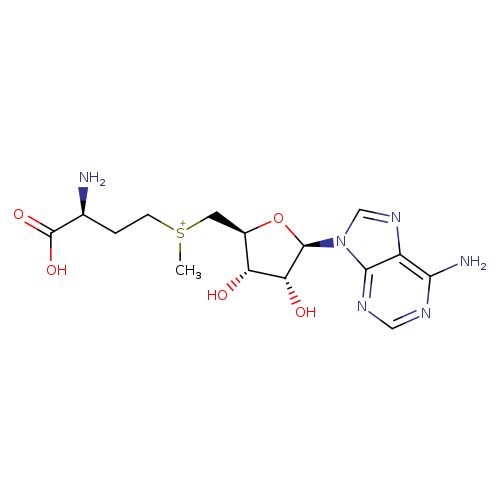 C[S+](C[C@H]1O[C@H]([C@@H]([C@@H]1O)O)n1cnc2c1ncnc2N)CC[C@@H](C(=O)O)N