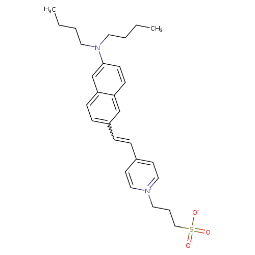 CCCCN(c1ccc2c(c1)ccc(c2)C=Cc1cc[n+](cc1)CCCS(=O)(=O)[O-])CCCC