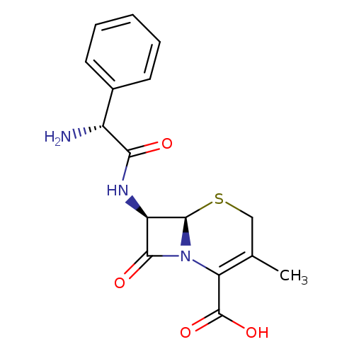 N[C@H](c1ccccc1)C(=O)N[C@@H]1C(=O)N2[C@@H]1SCC(=C2C(=O)O)C