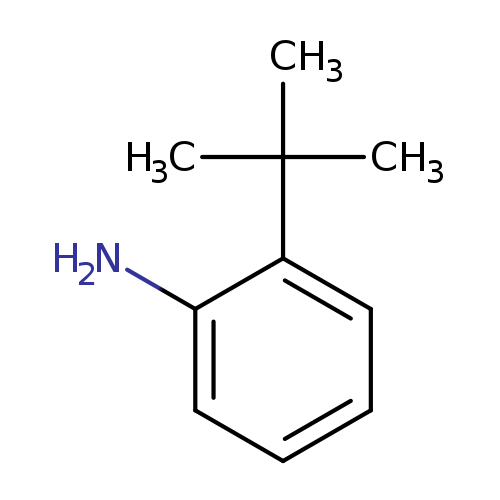 Nc1ccccc1C(C)(C)C