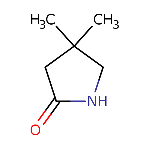 O=C1NCC(C1)(C)C