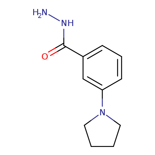 NNC(=O)c1cccc(c1)N1CCCC1
