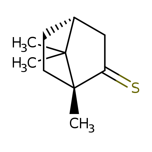S=C1C[C@@H]2C([C@@]1(C)CC2)(C)C