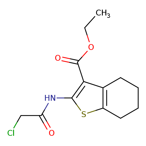 CCOC(=O)c1c(NC(=O)CCl)sc2c1CCCC2