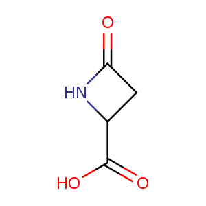 O=C1CC(N1)C(=O)O