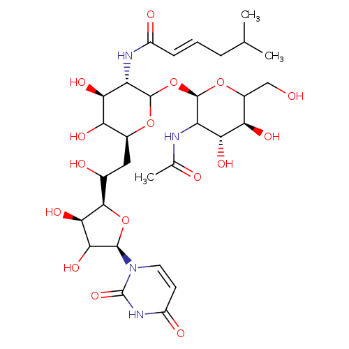 OCC1O[C@H](OC2O[C@@H](CC([C@H]3O[C@H](C([C@H]3O)O)n3ccc(=O)[nH]c3=O)O)C([C@H]([C@@H]2NC(=O)/C=C/CC(C)C)O)O)C([C@H]([C@@H]1O)O)NC(=O)C