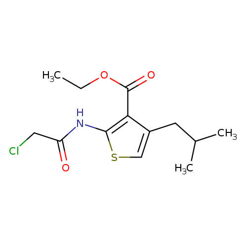 CCOC(=O)c1c(scc1CC(C)C)NC(=O)CCl