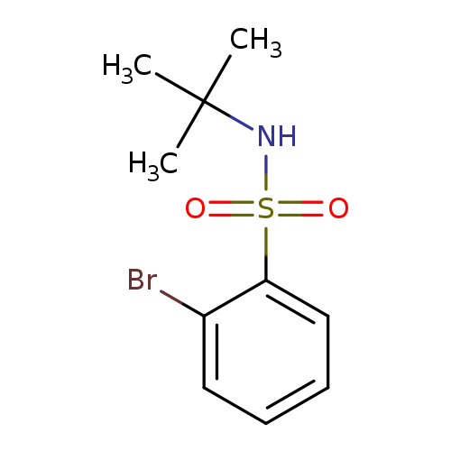 Brc1ccccc1S(=O)(=O)NC(C)(C)C