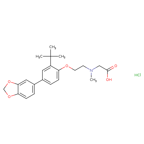 CN(CC(=O)O)CCOc1ccc(cc1C(C)(C)C)c1ccc2c(c1)OCO2.Cl