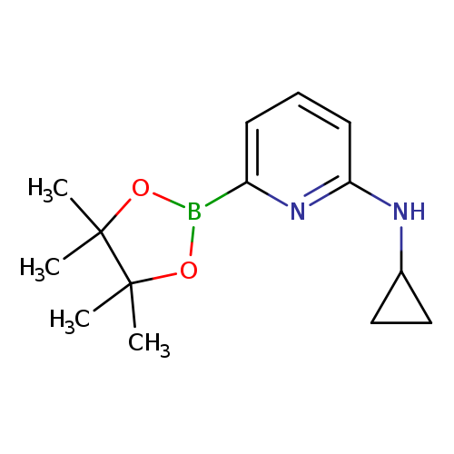 CC1(C)OB(OC1(C)C)c1cccc(n1)NC1CC1