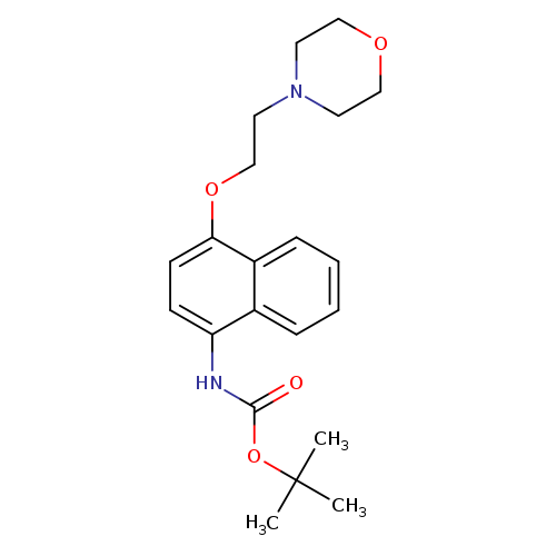 O=C(OC(C)(C)C)Nc1ccc(c2c1cccc2)OCCN1CCOCC1