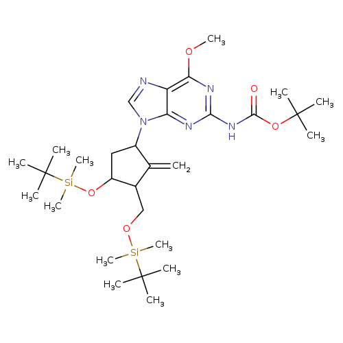 COc1nc(NC(=O)OC(C)(C)C)nc2c1ncn2C1CC(C(C1=C)CO[Si](C(C)(C)C)(C)C)O[Si](C(C)(C)C)(C)C