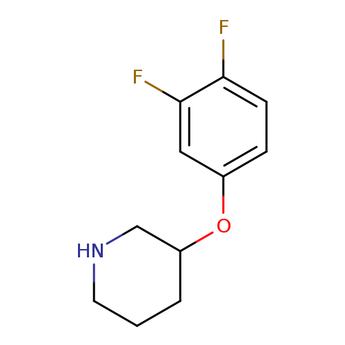 Fc1ccc(cc1F)OC1CCCNC1