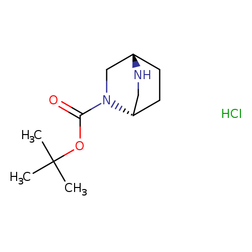 O=C(N1C[C@@H]2CC[C@H]1CN2)OC(C)(C)C.Cl