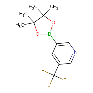 CC1(C)OB(OC1(C)C)c1cncc(c1)C(F)(F)F