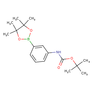 O=C(OC(C)(C)C)Nc1cccc(c1)B1OC(C(O1)(C)C)(C)C