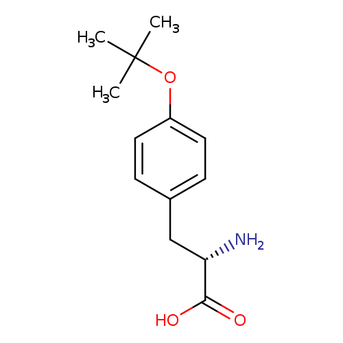 N[C@H](C(=O)O)Cc1ccc(cc1)OC(C)(C)C