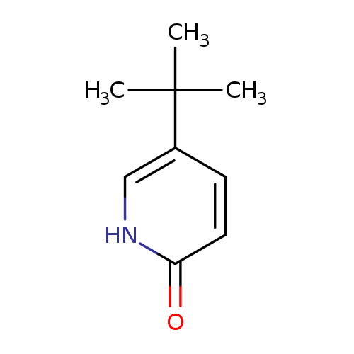 O=c1ccc(c[nH]1)C(C)(C)C