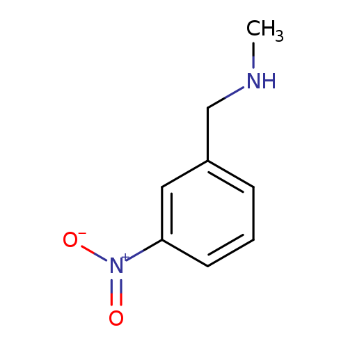 CNCc1cccc(c1)[N+](=O)[O-]