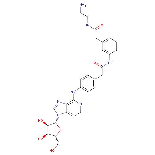 NCCNC(=O)Cc1cccc(c1)NC(=O)Cc1ccc(cc1)Nc1ncnc2c1ncn2[C@@H]1O[C@@H]([C@H]([C@H]1O)O)CO