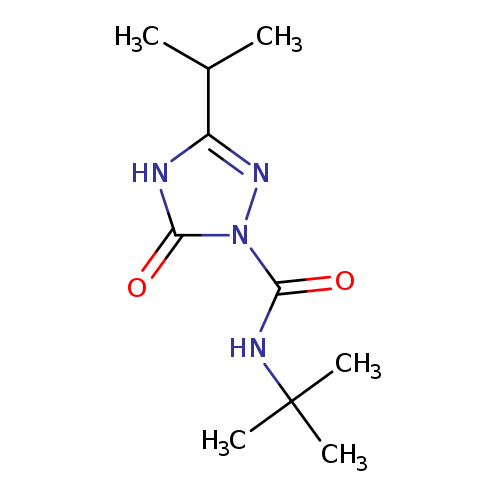 CC(c1nn(c(=O)[nH]1)C(=O)NC(C)(C)C)C