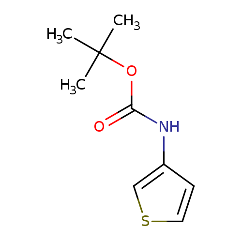 O=C(OC(C)(C)C)Nc1cscc1