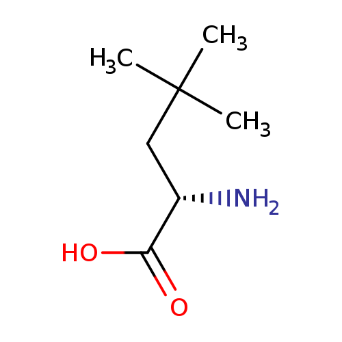 N[C@H](C(=O)O)CC(C)(C)C