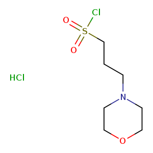 ClS(=O)(=O)CCCN1CCOCC1.Cl