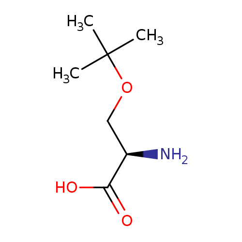 N[C@@H](C(=O)O)COC(C)(C)C
