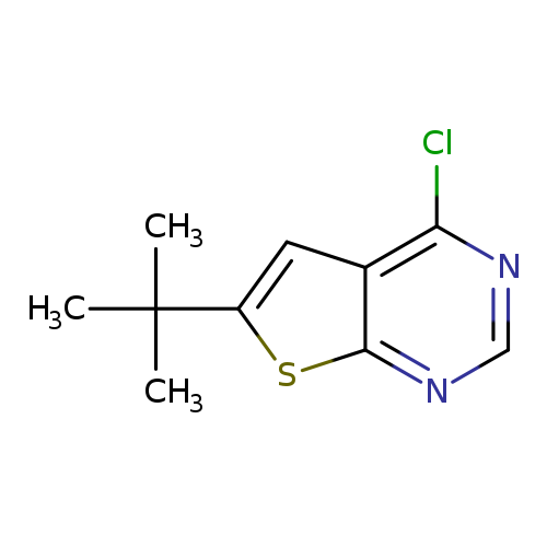 Clc1ncnc2c1cc(s2)C(C)(C)C