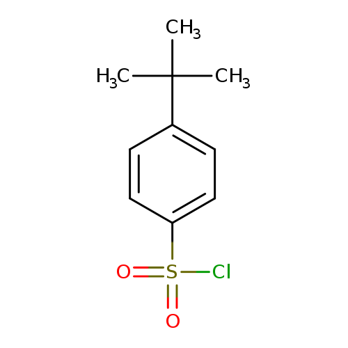 CC(c1ccc(cc1)S(=O)(=O)Cl)(C)C